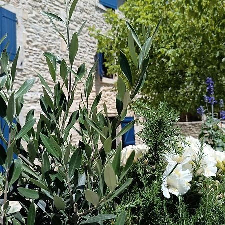 Namaste Home, Votre Havre De Paix A St Remy ! Parking Wifi Inclus Saint-Rémy-de-Provence Exteriör bild